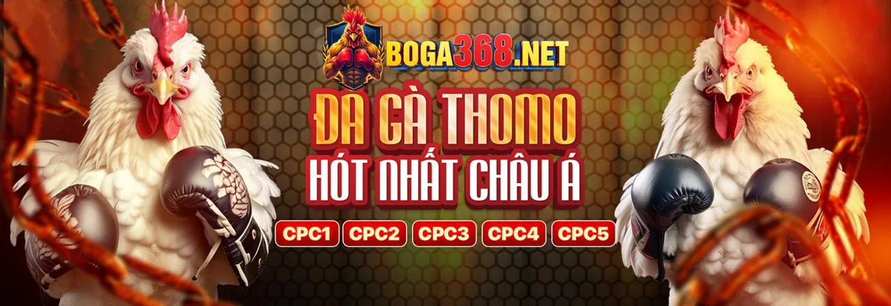 Trải nghiệm đá gà trực tuyến đỉnh cao tại daga68