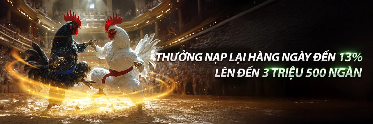Trận đấu đá gà trực tiếp kịch tính tại Daga68 Trực Tiếp 21