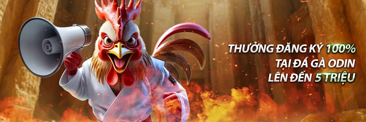 Minh họa cài đặt quản lý cookie của người dùng tại daga68