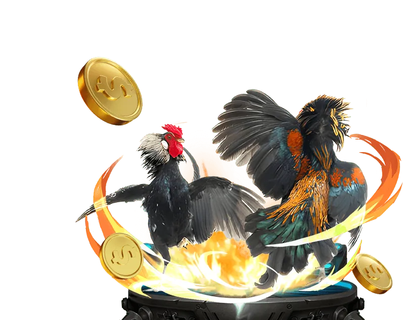 Hình ảnh một trận đá gà trực tuyến sôi động tại Sinbet, với các chiến kê dũng mãnh và khán giả cổ vũ cuồng nhiệt.