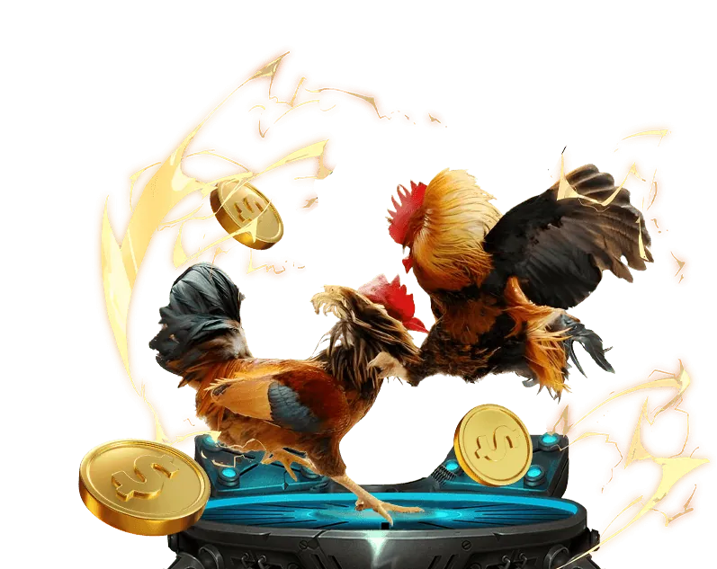 Đá gà daga68 trực tuyến tại One88, trận đấu kịch tính